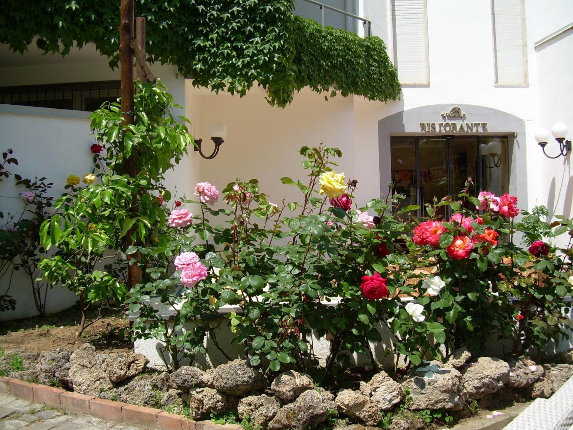 Hotel Baia Palinuro Dış mekan fotoğraf